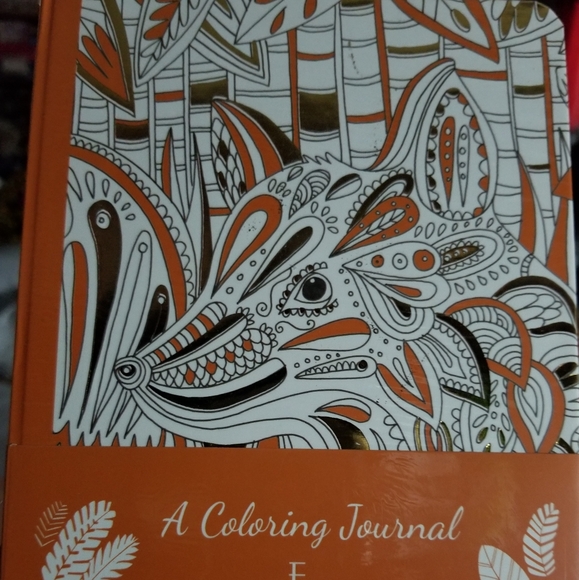 2 in 1: Fox Coloring Journal - Picture 3 of 4